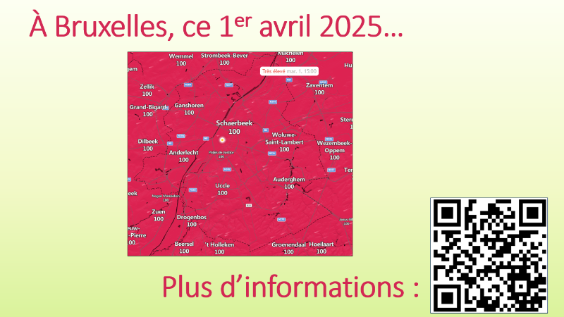 Ressources Météo MSN pollen en direct